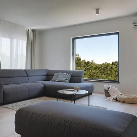 Vila Modern Omnia With Pool And Grill In Pula Loborika
