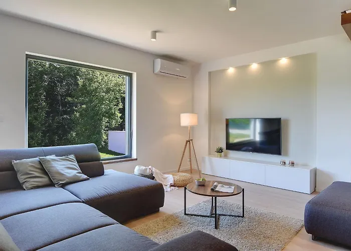 Modern Omnia With Pool And Grill In Pula