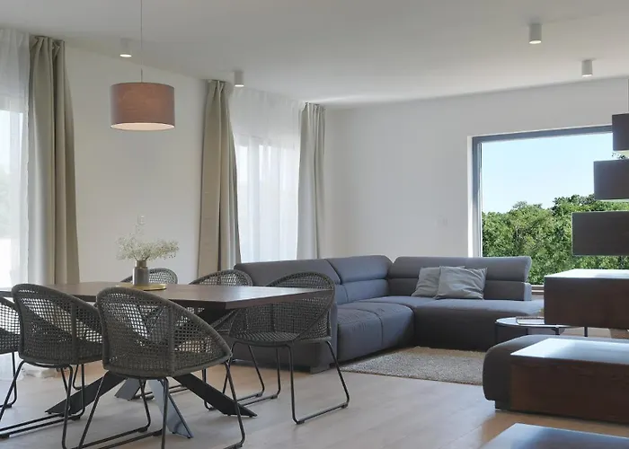 Modern Omnia With Pool And Grill In Pula * Loborika